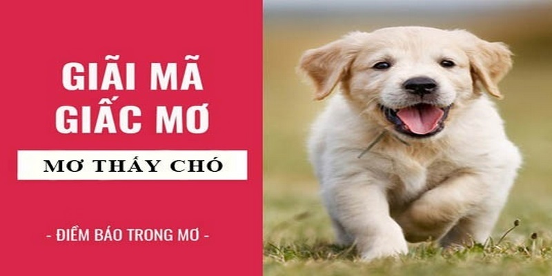 Mơ thấy chó đánh con gì đánh là trúng?