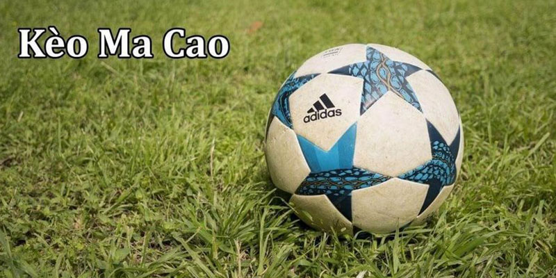 Tìm hiểu về kèo Ma cao