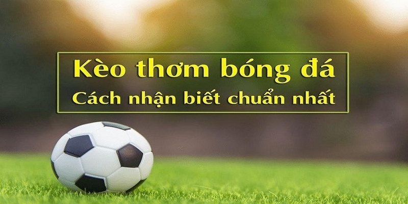 Cách phát hiện ra kèo thơm trong bóng đá