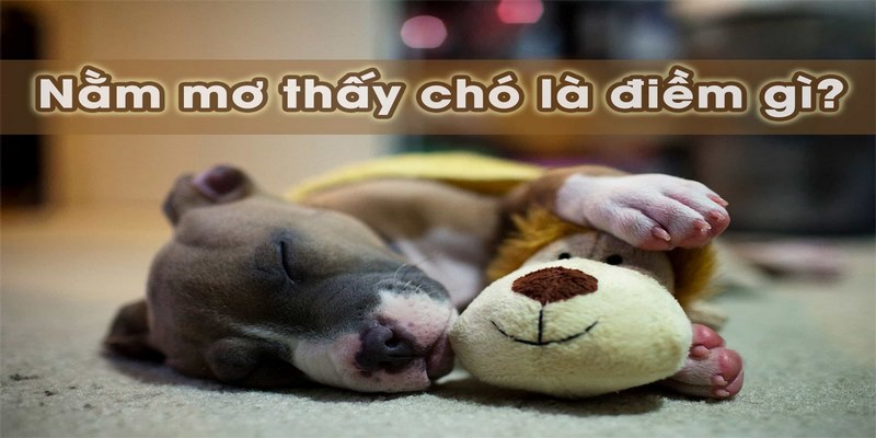 Mơ thấy chó đánh con gì nếu đó là chó con?