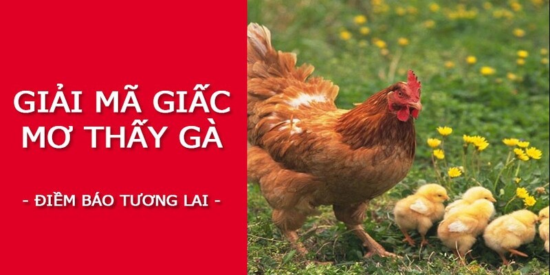 Ngủ mộng thấy gà chết